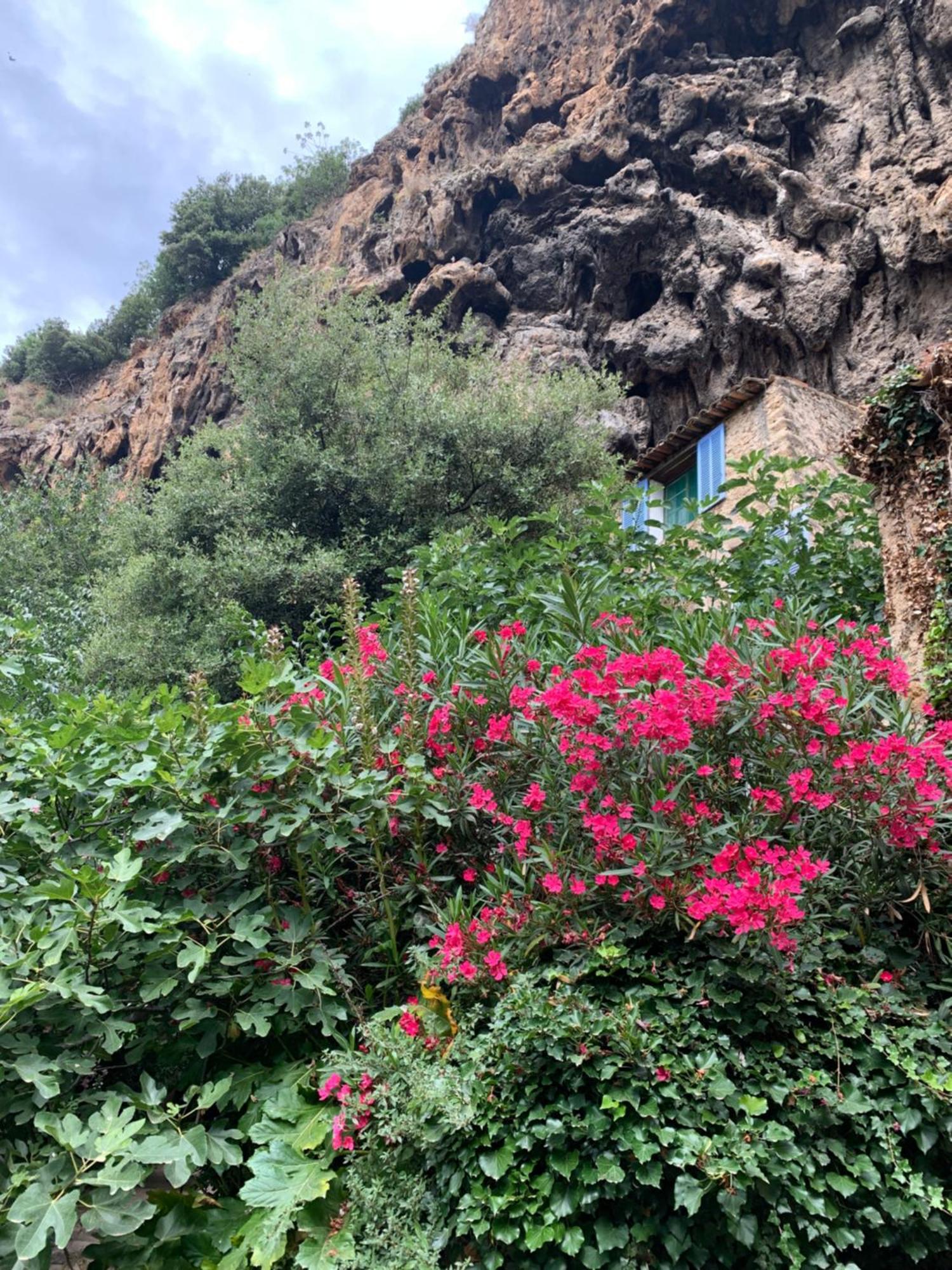 Tivoli en Provence Villa Cotignac Eksteriør billede