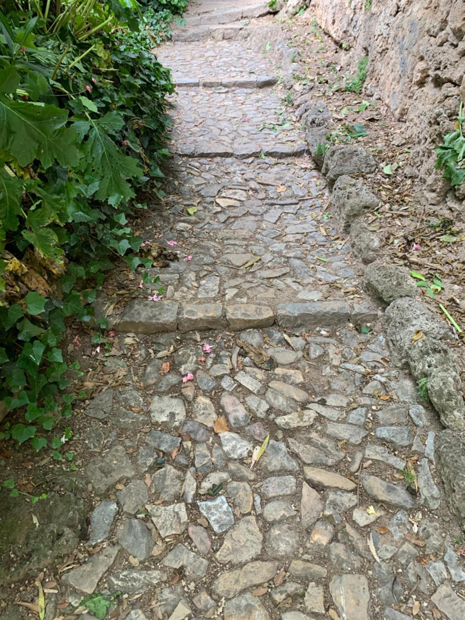 Tivoli en Provence Villa Cotignac Eksteriør billede