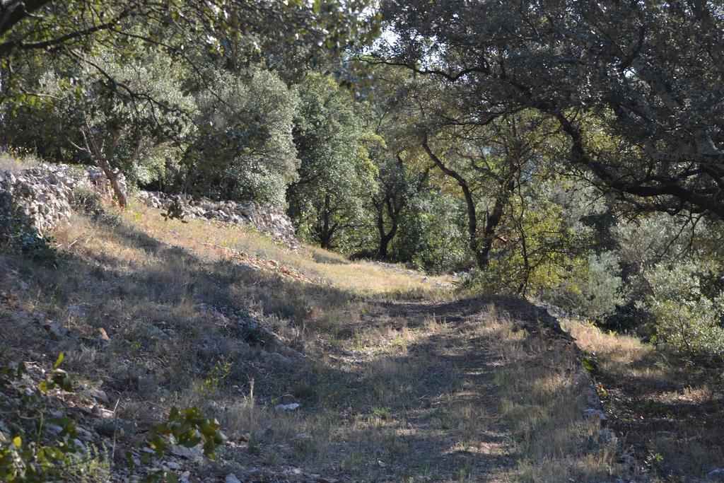 Tivoli en Provence Villa Cotignac Eksteriør billede